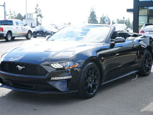 Used 2019 Ford Mustang Convertible w/ Ecoboost Performance Package image 12