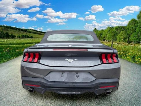 Used 2024 Ford Mustang Premium RWD image 5