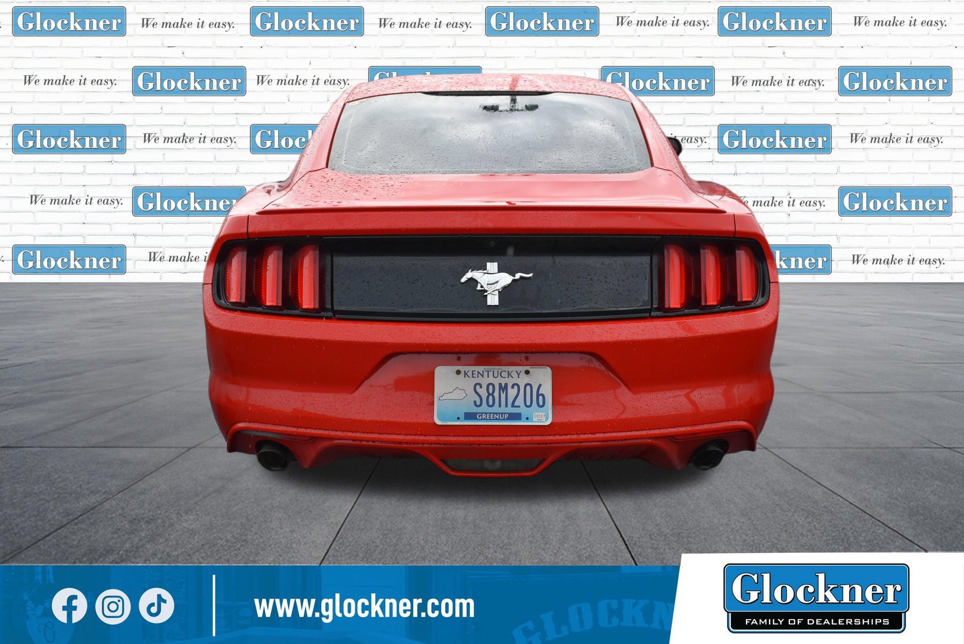Used 2015 Ford Mustang Coupe w/ Equipment Group 051A RWD image 13
