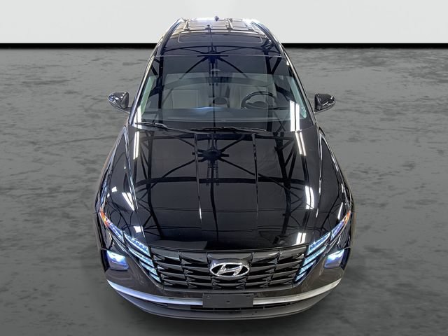 Used 2023 Hyundai Tucson SEL w/ Convenience Package AWD/4WD image 6