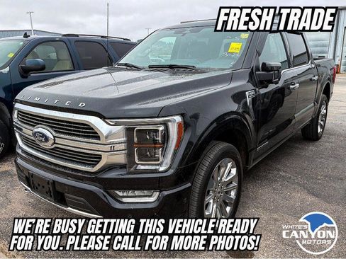 Used 2023 Ford F150 Limited image 4