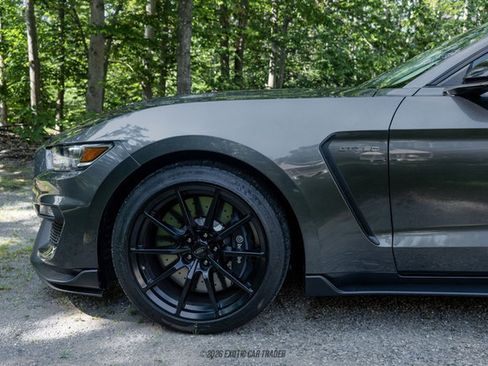 Used 2015 Ford Mustang Shelby GT350 RWD image 4