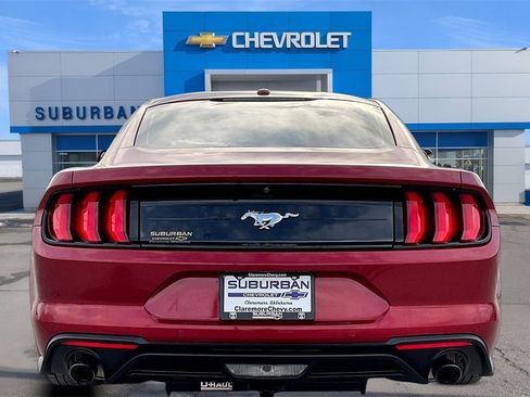 Used 2019 Ford Mustang Coupe w/ Ecoboost Performance Package image 4