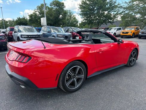 Used 2024 Ford Mustang Premium RWD image 3