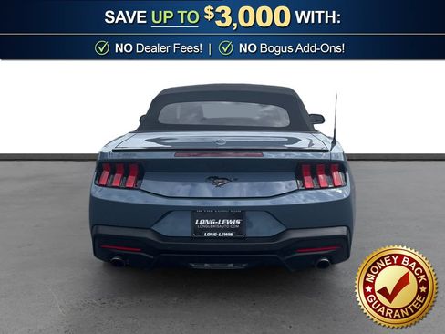 Used 2024 Ford Mustang Premium w/ Mustang Nite Pony Package RWD image 5