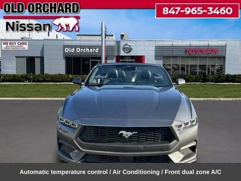 Used 2024 Ford Mustang Premium RWD image 2