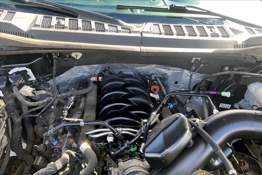 Used 2019 Ford F150 XLT w/ Equipment Group 302A Luxury AWD/4WD image 32