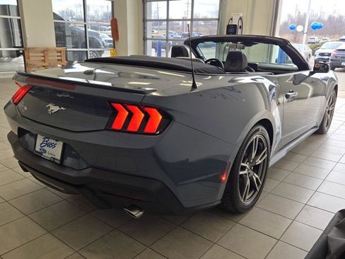 Used 2025 Ford Mustang Premium w/ Wheel & Stripe Package image 10