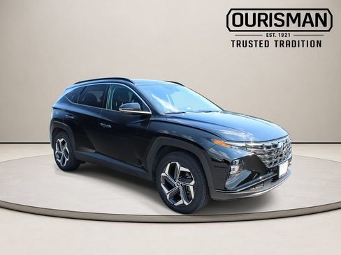 Used 2024 Hyundai Tucson Limited AWD/4WD image 1