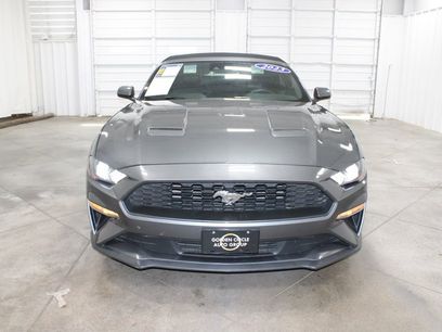 Used 2023 Ford Mustang Premium