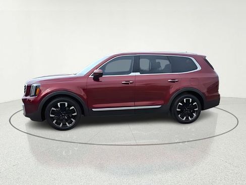 Certified 2023 Kia Telluride SX Prestige image 2