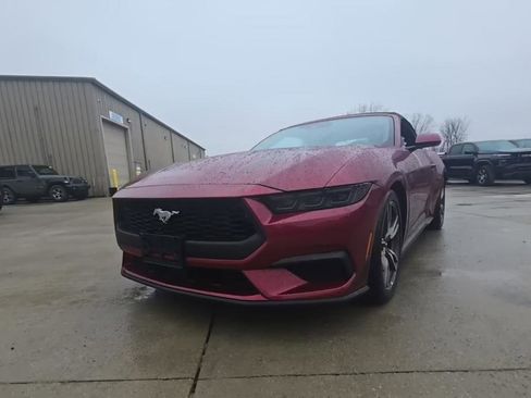 Used 2025 Ford Mustang Premium w/ Wheel & Stripe Package image 3