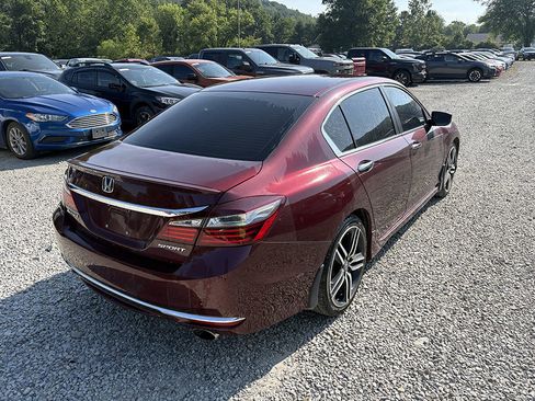Used 2016 Honda Accord Sport image 3