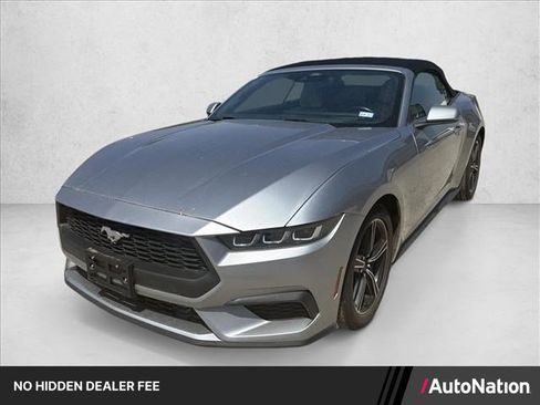 Used 2024 Ford Mustang Premium RWD image 1