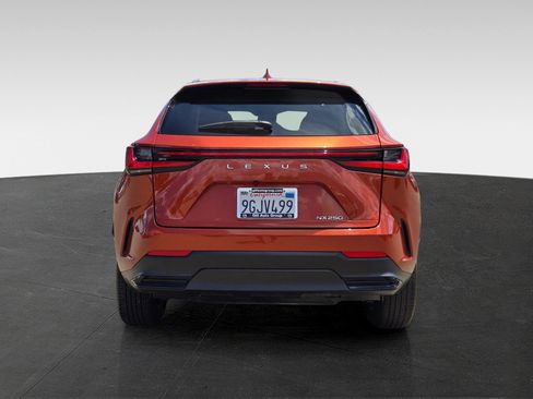 Used 2024 Lexus NX 250 FWD image 5