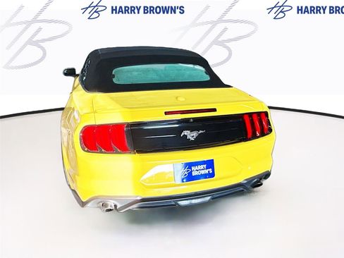 Used 2018 Ford Mustang Premium w/ Equipment Group 201A RWD image 9