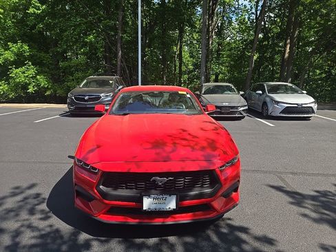 Used 2024 Ford Mustang Premium image 12