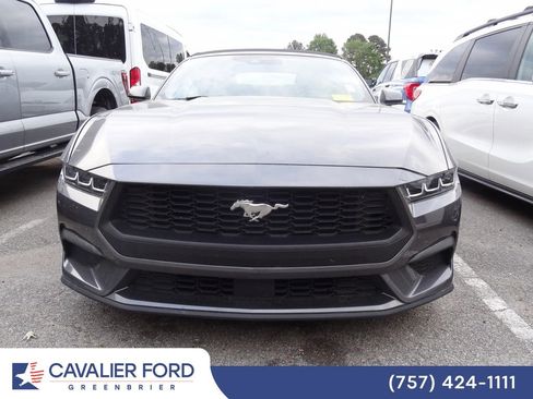 Used 2024 Ford Mustang Premium RWD image 2