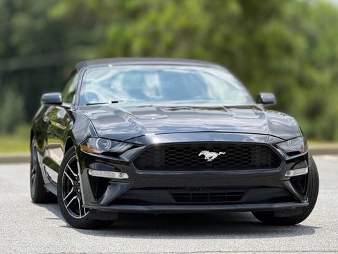 Used 2019 Ford Mustang Premium RWD image 4
