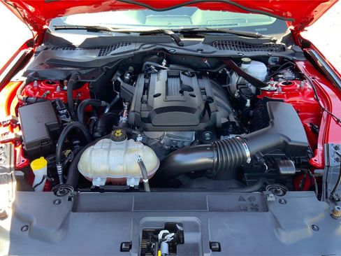Used 2019 Ford Mustang Convertible w/ Equipment Group 101A RWD image 22