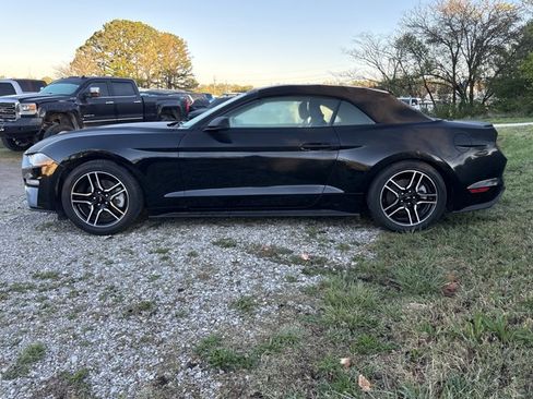 Used 2021 Ford Mustang Premium image 3