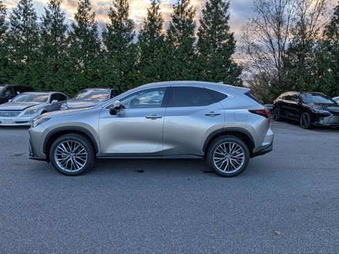 Used 2022 Lexus NX 350h AWD image 6