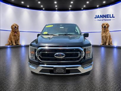 Used 2023 Ford F150 XLT w/ Equipment Group 302A High