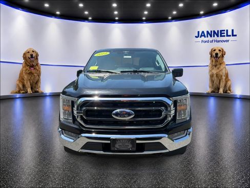 Used 2023 Ford F150 XLT w/ Equipment Group 302A High AWD/4WD image 2