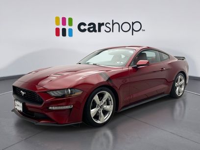 Used 2019 Ford Mustang Premium w/ Equipment Group 201A