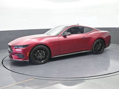 Used 2025 Ford Mustang Coupe w/ Mustang Nite Pony Package RWD image 2