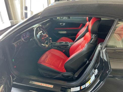 Used 2021 Ford Mustang GT Premium RWD image 5