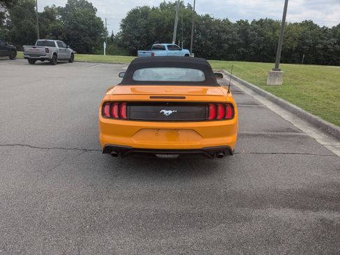 Used 2019 Ford Mustang Premium w/ Equipment Group 201A RWD image 4