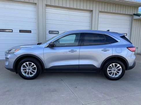 Used 2022 Ford Escape SE AWD/4WD image 4
