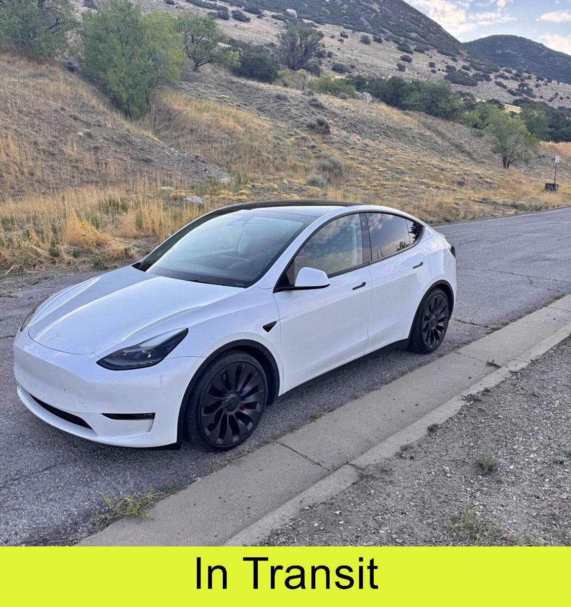 Used 2022 Tesla Model Y Performance AWD/4WD image 1