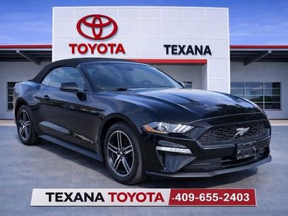 Used 2024 Ford Mustang Premium