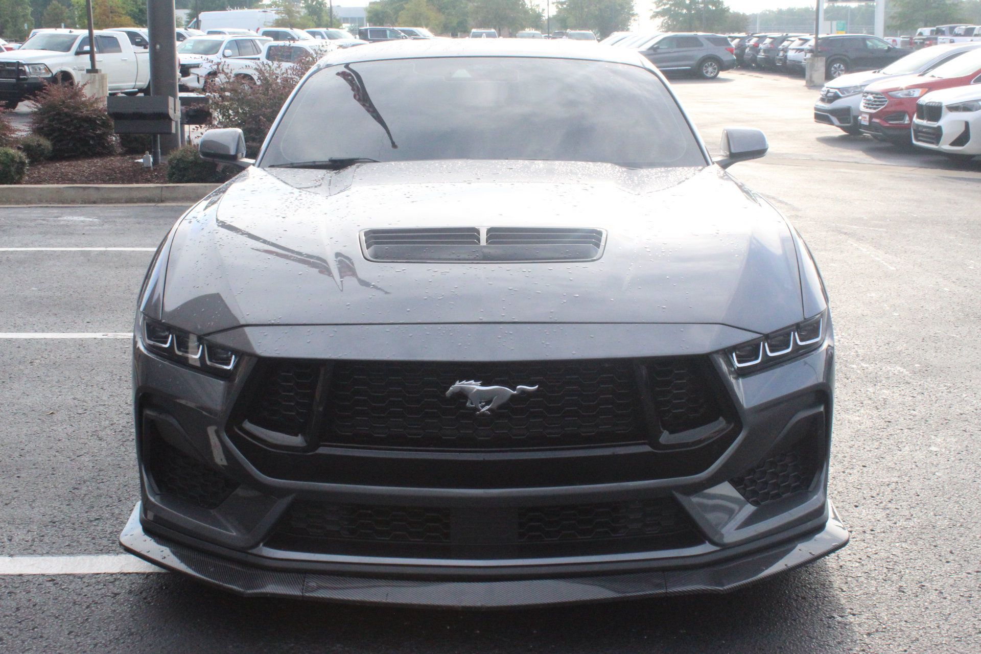 Used 2024 Ford Mustang GT RWD image 3