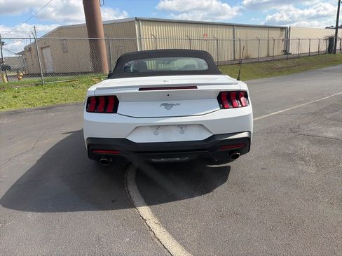 Used 2024 Ford Mustang Premium image 6