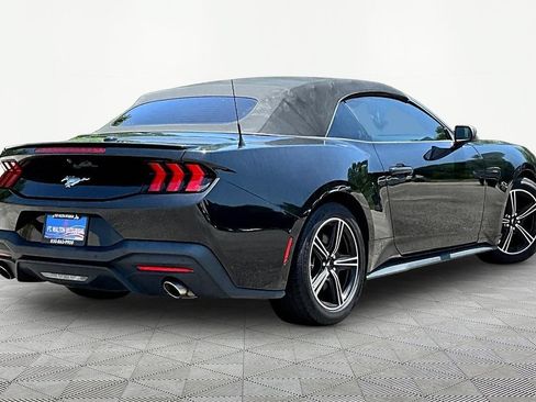 Used 2024 Ford Mustang Premium RWD image 7