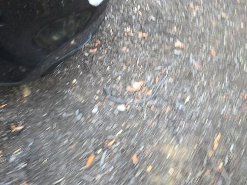 Certified 2023 BMW X5 xDrive40i w/ M Sport Package image 10