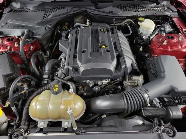 Used 2015 Ford Mustang Premium w/ Equipment Group 201A RWD image 13