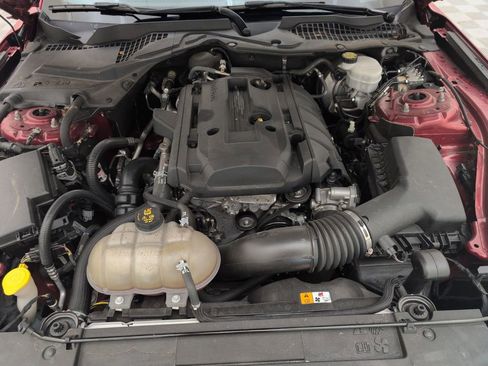 Used 2018 Ford Mustang Coupe RWD image 37