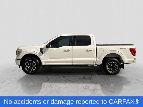 Certified 2023 Ford F150 XLT w/ Equipment Group 302A High AWD/4WD image 3