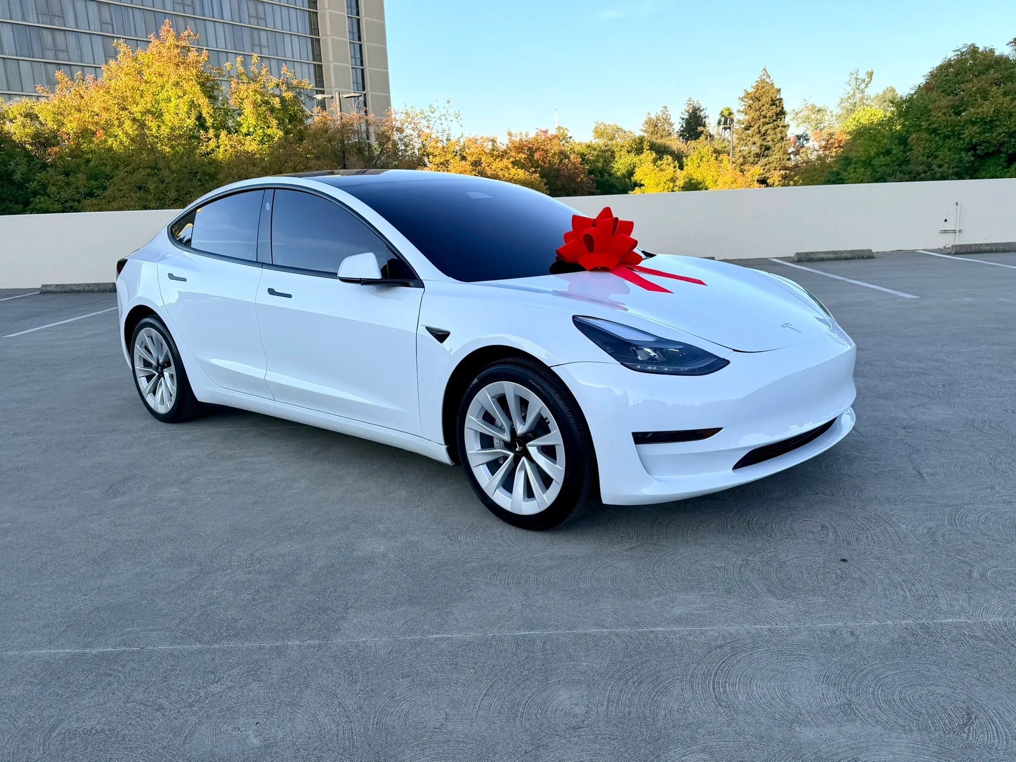 Used 2023 Tesla Model 3 Standard Range RWD image 3