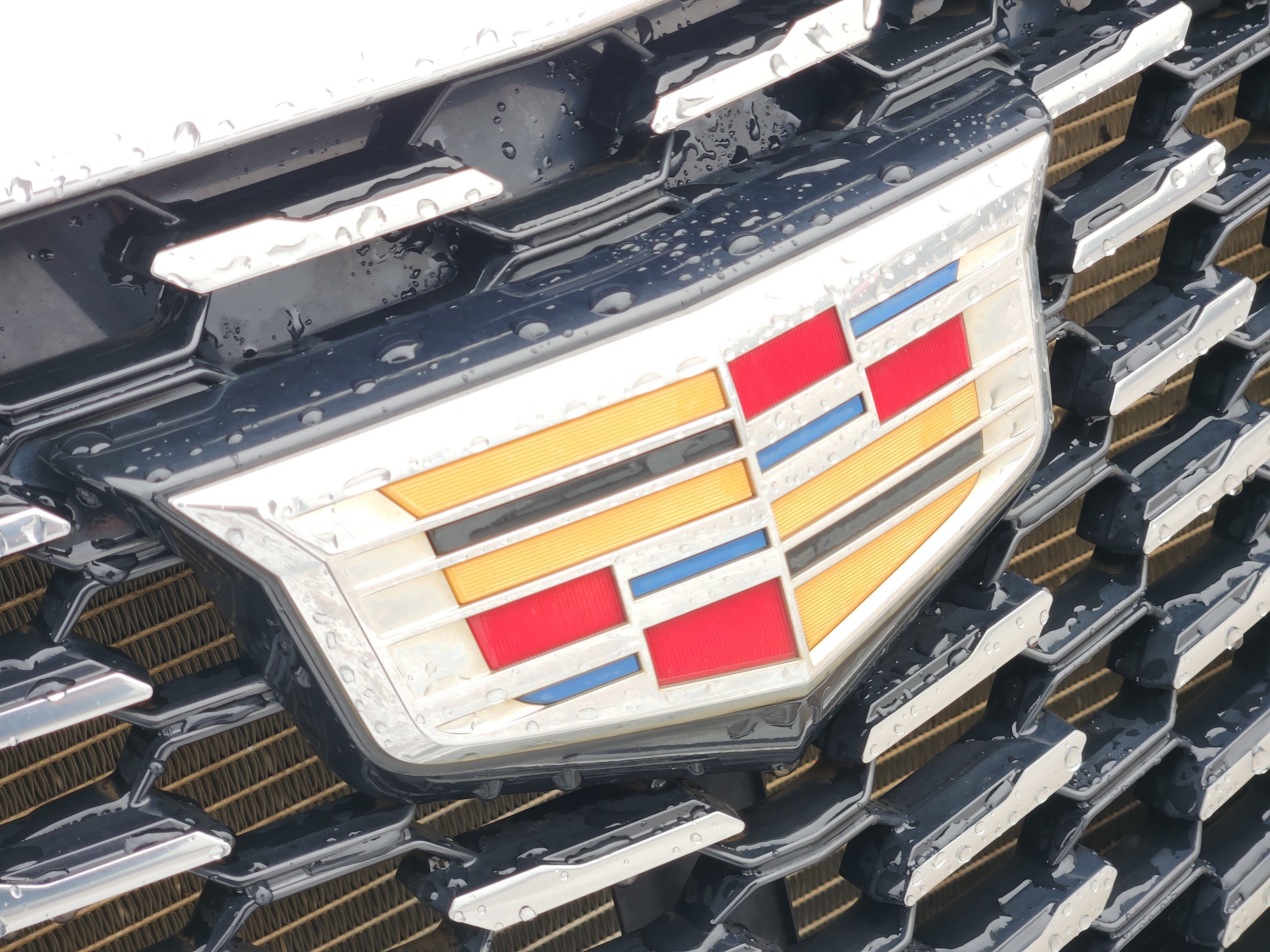 Used 2023 Cadillac XT5 Premium Luxury AWD/4WD image 12