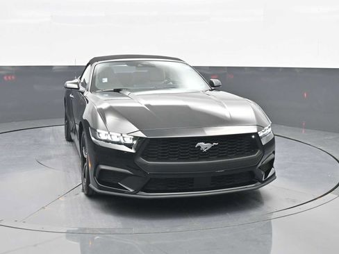 Used 2025 Ford Mustang Premium RWD image 2