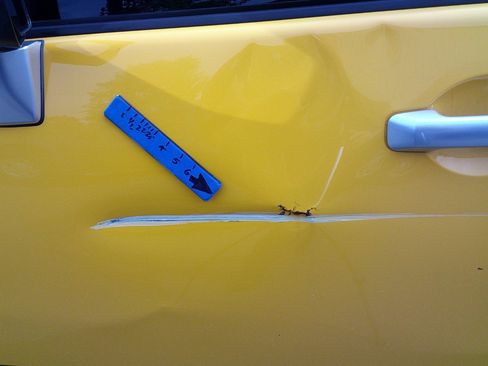 Used 2007 Toyota FJ Cruiser 4WD w/ Upgrade Pkg 2 image 31