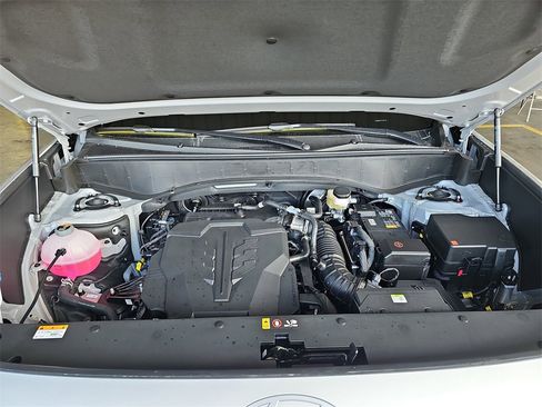 New 2026 Hyundai Palisade Calligraphy image 32