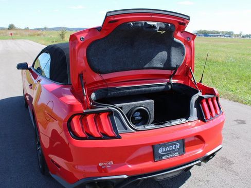 Used 2019 Ford Mustang GT Premium w/ Equipment Group 401A image 29