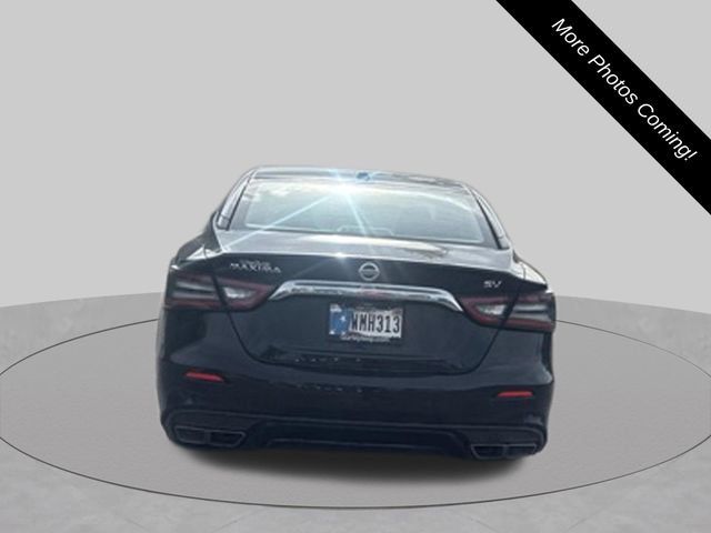 Used 2019 Nissan Maxima 3.5 SV w/ Floor Mat Group FWD image 6