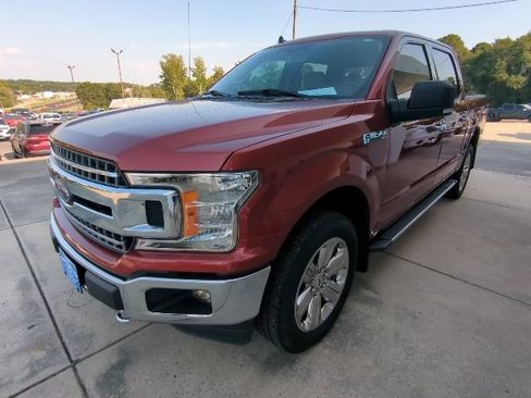 Used 2019 Ford F150 XLT w/ Equipment Group 302A Luxury AWD/4WD image 3